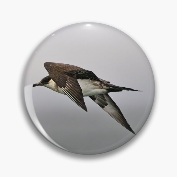 Item preview, Parasitic Jaeger designed and sold by Stephen Jarman.