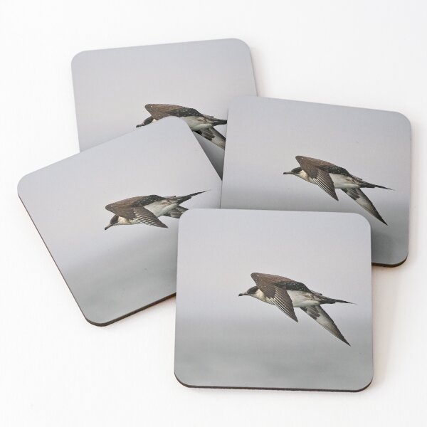 Item preview, Parasitic Jaeger designed and sold by Stephen Jarman.