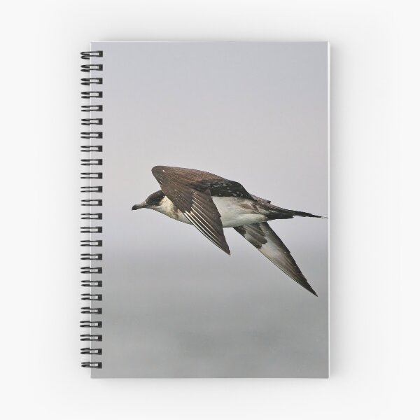 Item preview, Parasitic Jaeger designed and sold by Stephen Jarman.