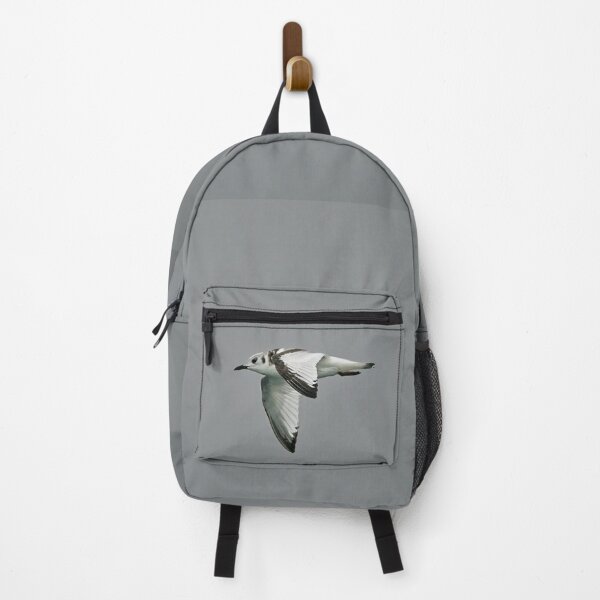 Item preview, Juvenile Black-legged kittiwake designed and sold by Stephen Jarman.