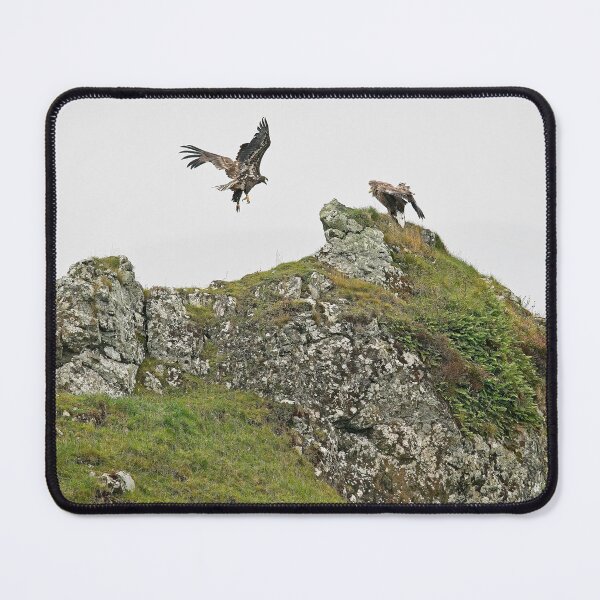 Item preview, White tailed eagle, sea eagles designed and sold by Stephen Jarman.