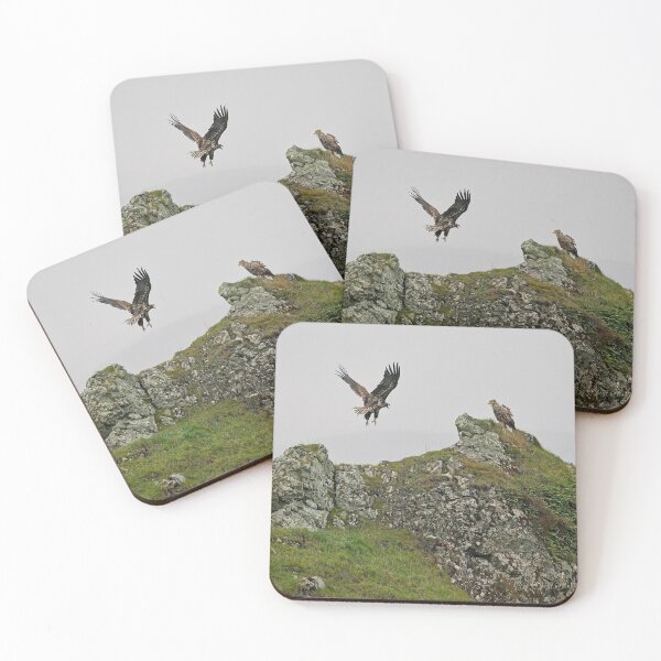 Item preview, White tailed eagle, sea eagles - incoming! designed and sold by Stephen Jarman.