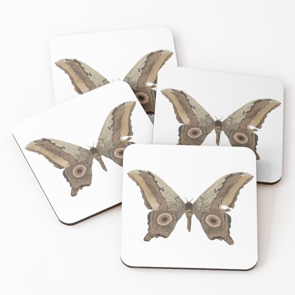 Item preview, Saturniidae Moth designed and sold by StillHourStudio.
