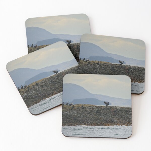 Item preview, European shags on a small island, Scotland designed and sold by Stephen Jarman.