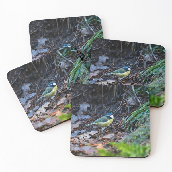 Item preview, Blue tit in damp woodland designed and sold by Stephen Jarman.