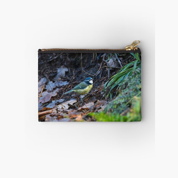Item preview, Blue tit in damp woodland designed and sold by Stephen Jarman.