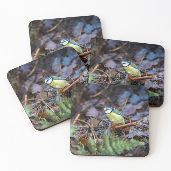 Item preview, Blue tit  stands on damp fallen branch designed and sold by Stephen Jarman.