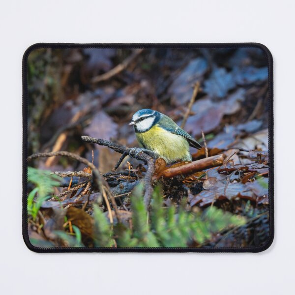 Item preview, Blue tit  stands on damp fallen branch designed and sold by Stephen Jarman.