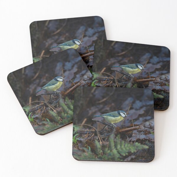 Item preview, Blue tit stands on damp fallen branch in woodland v2 designed and sold by Stephen Jarman.