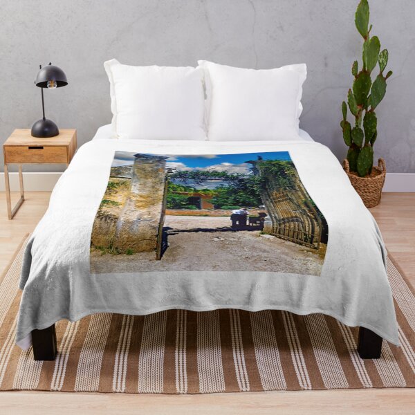 Item preview, Hadrian's Villa, Entrance Gete, Tivoli, Italy, 1959 designed and sold by AMacGPhilly.