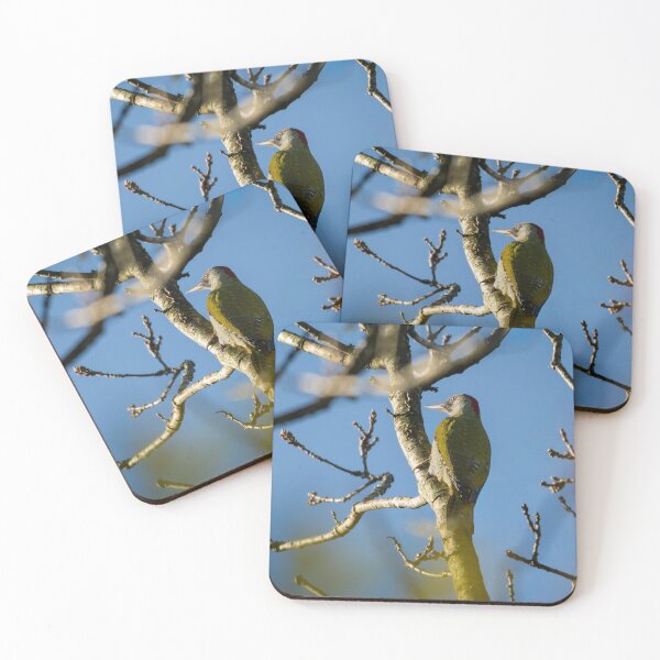 Item preview, European green woodpecker (Picus viridis) designed and sold by Stephen Jarman.