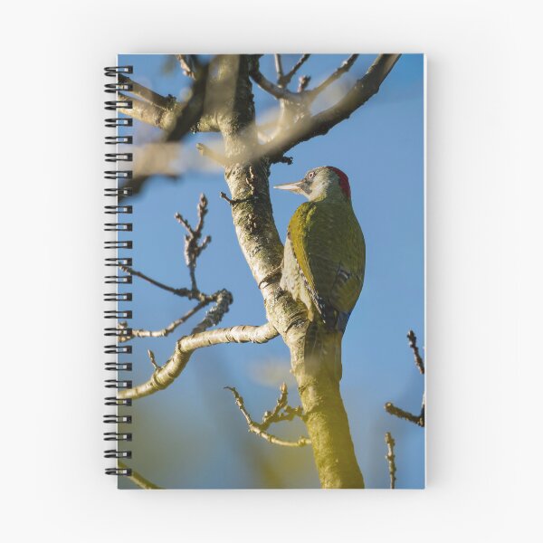 Item preview, European green woodpecker (Picus viridis) designed and sold by Stephen Jarman.