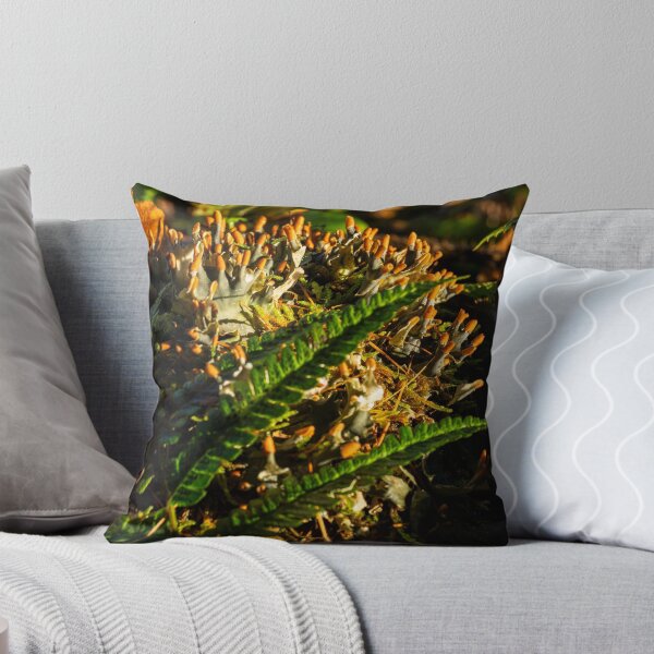 Item preview, Fern fronds and moss, autumn vibes designed and sold by Stephen Jarman.