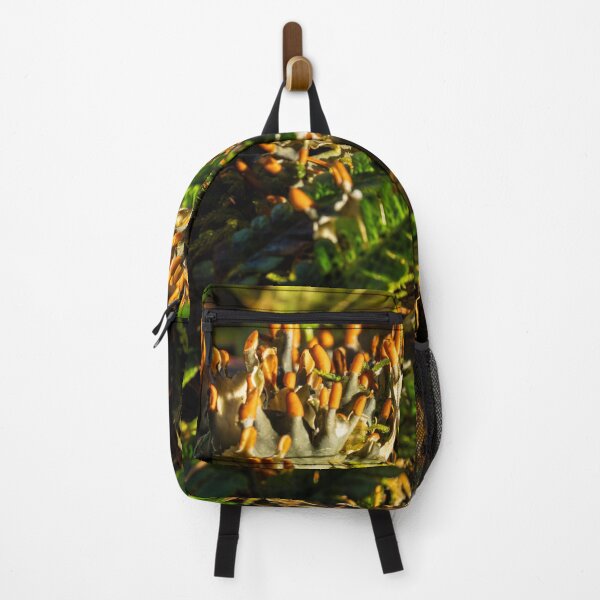 Item preview, Fern fronds and moss, autumn vibes designed and sold by Stephen Jarman.