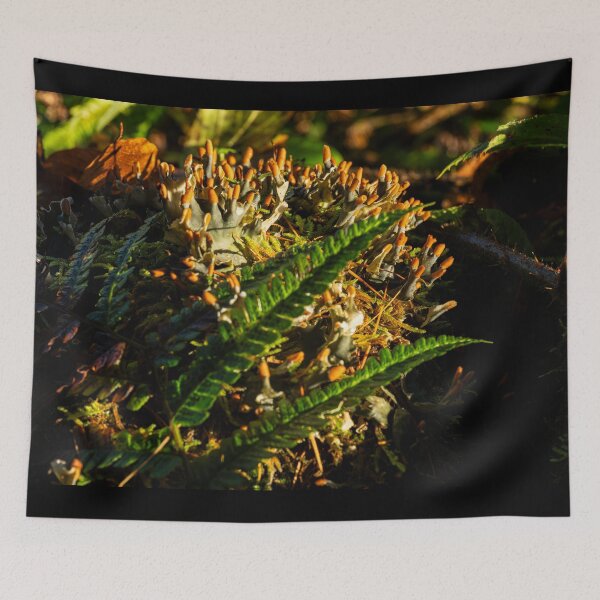Item preview, Fern fronds and moss, autumn vibes designed and sold by Stephen Jarman.