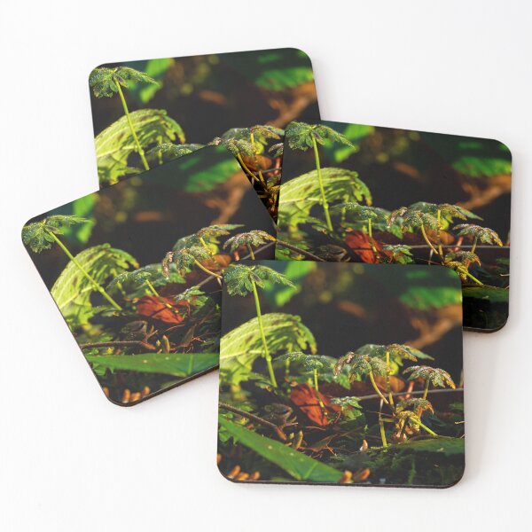 Item preview, Forest floor scene designed and sold by Stephen Jarman.