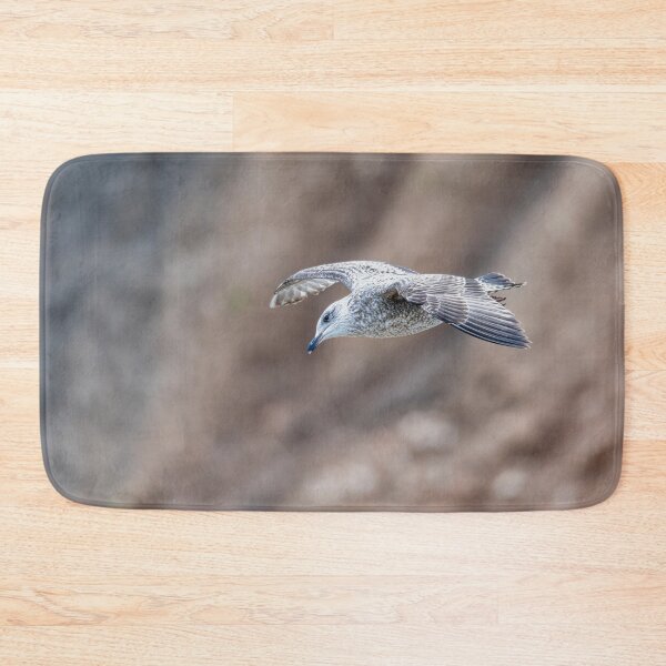 Item preview, Juvenile gull in flight designed and sold by Stephen Jarman.