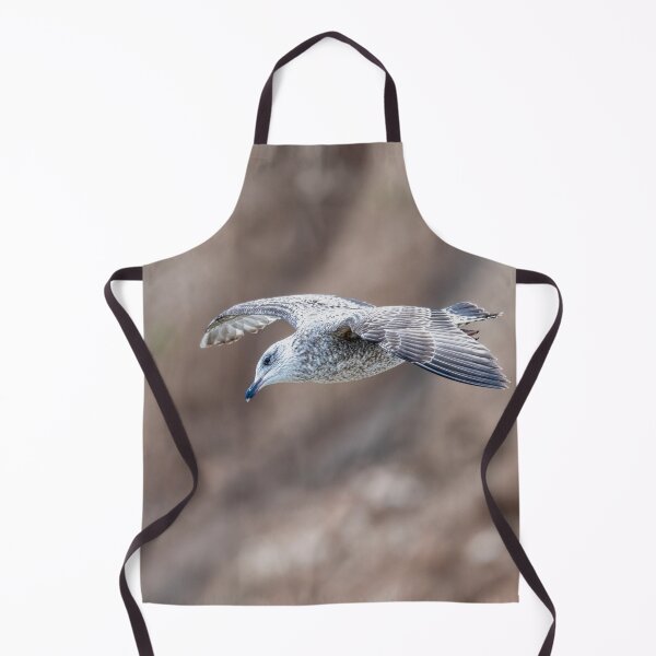 Item preview, Juvenile gull in flight designed and sold by Stephen Jarman.