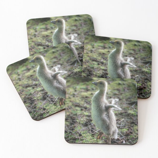 Item preview, Gosling dance designed and sold by Stephen Jarman.