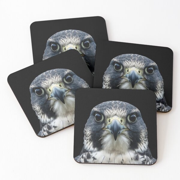 Item preview, Peregrine Falcon Portrait Realistic Dark Art designed and sold by Zippy Creation.