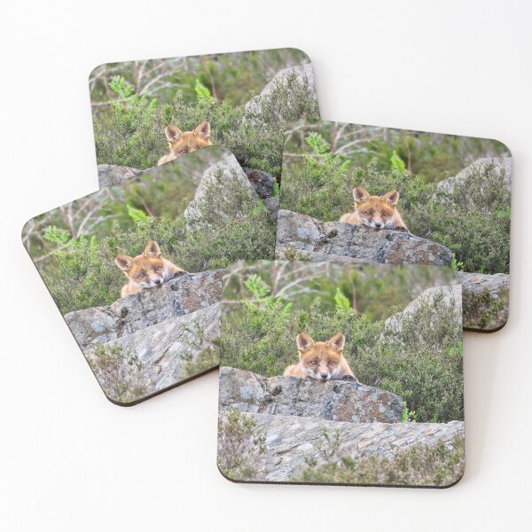 Item preview, Fox cub laying on a rock designed and sold by Stephen Jarman.