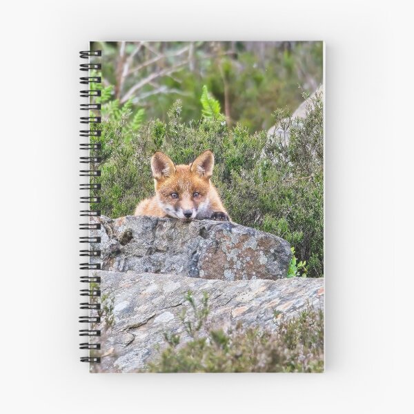 Item preview, Fox cub laying on a rock designed and sold by Stephen Jarman.