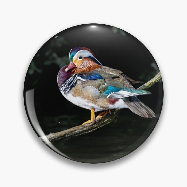 Item preview, Male Mandarin duck  designed and sold by Stephen Jarman.