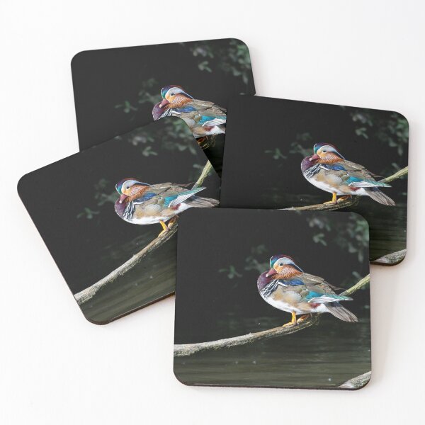 Item preview, Male Mandarin duck  designed and sold by Stephen Jarman.