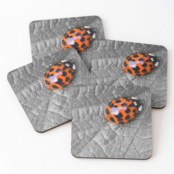 Item preview, Harlequin Ladybird designed and sold by heidipics.