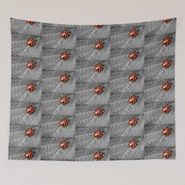 Item preview, Harlequin Ladybird designed and sold by heidipics.