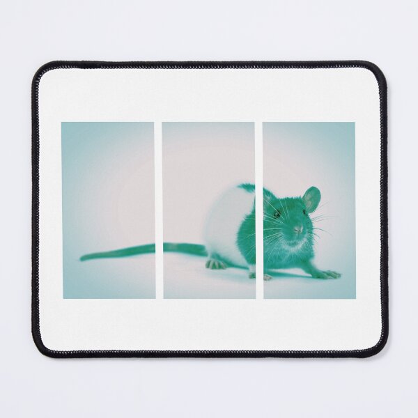 Item preview, Stunned Mouse, Green Duotone (Triptych) designed and sold by MariaHype.