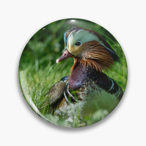 Item preview, Male Mandarin duck  designed and sold by Stephen Jarman.