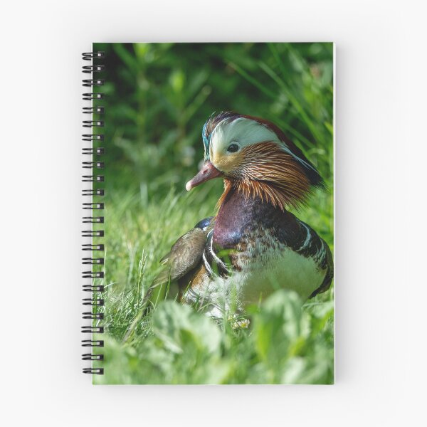 Item preview, Male Mandarin duck  designed and sold by Stephen Jarman.