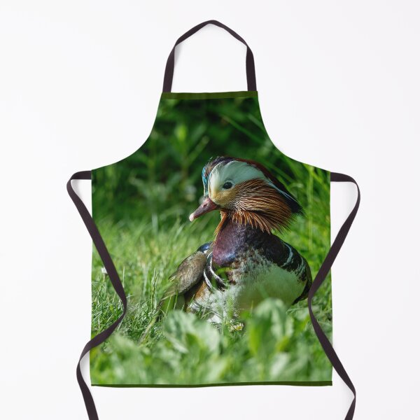 Item preview, Male Mandarin duck  designed and sold by Stephen Jarman.