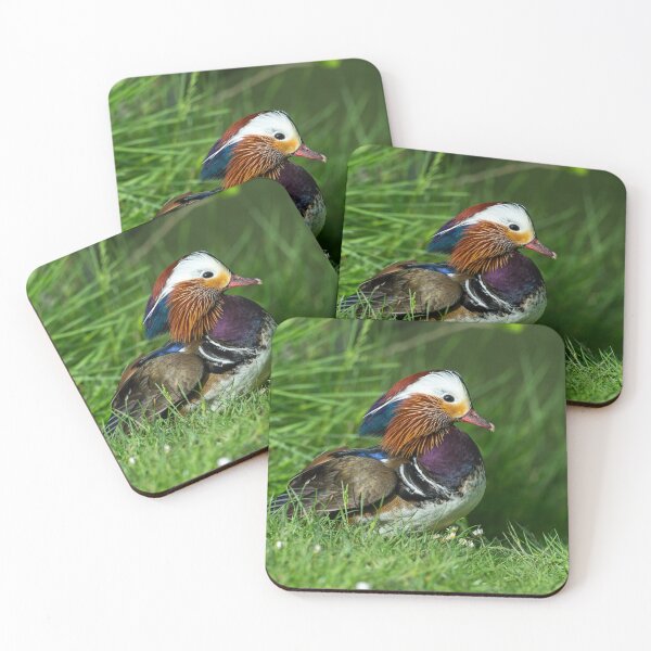 Item preview, Male Mandarin duck  designed and sold by Stephen Jarman.