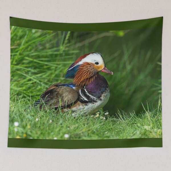 Item preview, Male Mandarin duck  designed and sold by Stephen Jarman.