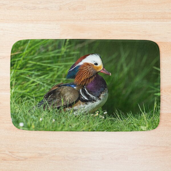 Item preview, Male Mandarin duck  designed and sold by Stephen Jarman.