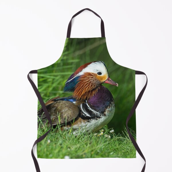 Item preview, Male Mandarin duck designed and sold by Stephen Jarman.