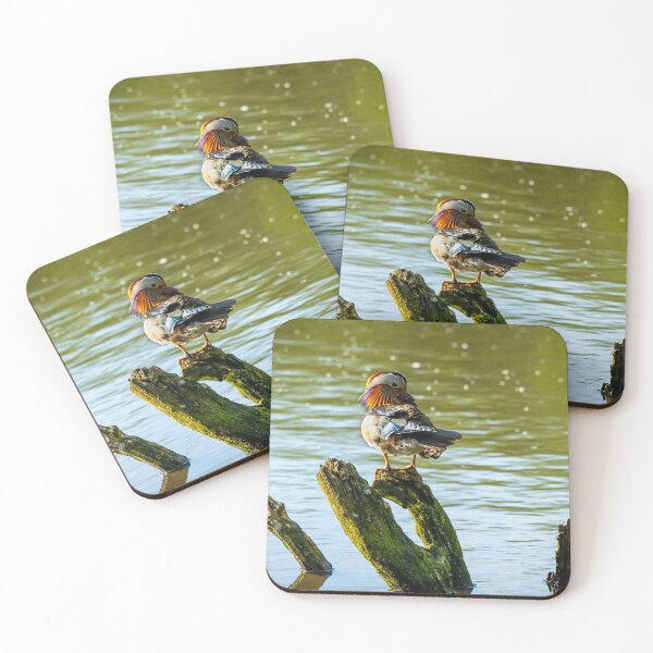 Item preview, Male Mandarin duck  designed and sold by Stephen Jarman.