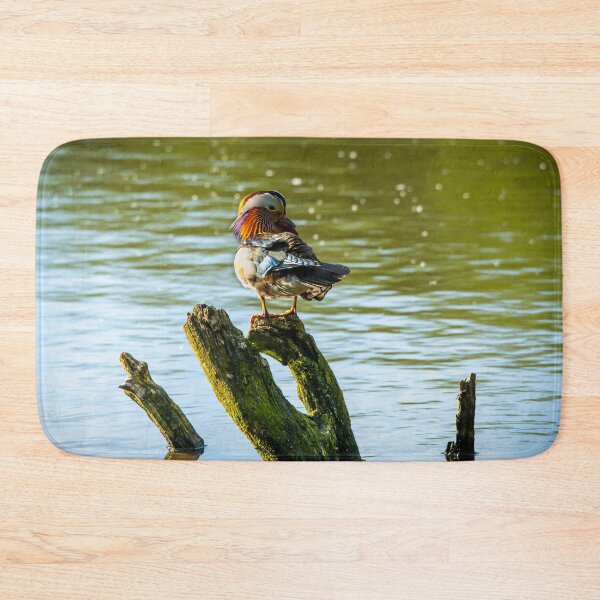 Item preview, Male Mandarin duck  designed and sold by Stephen Jarman.