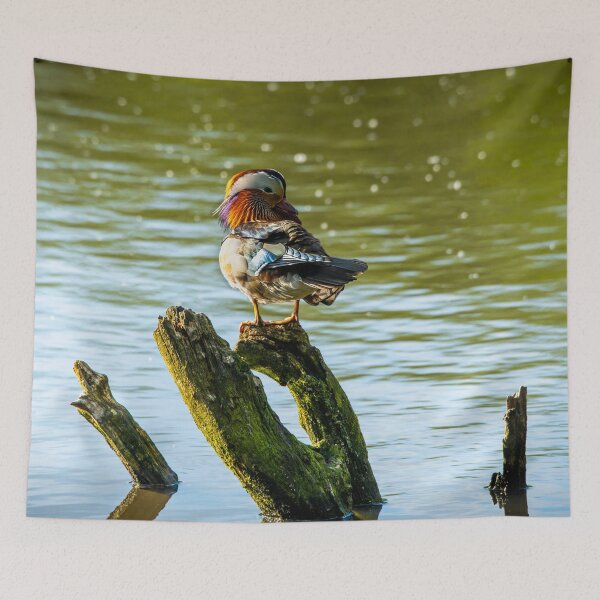 Item preview, Male Mandarin duck  designed and sold by Stephen Jarman.