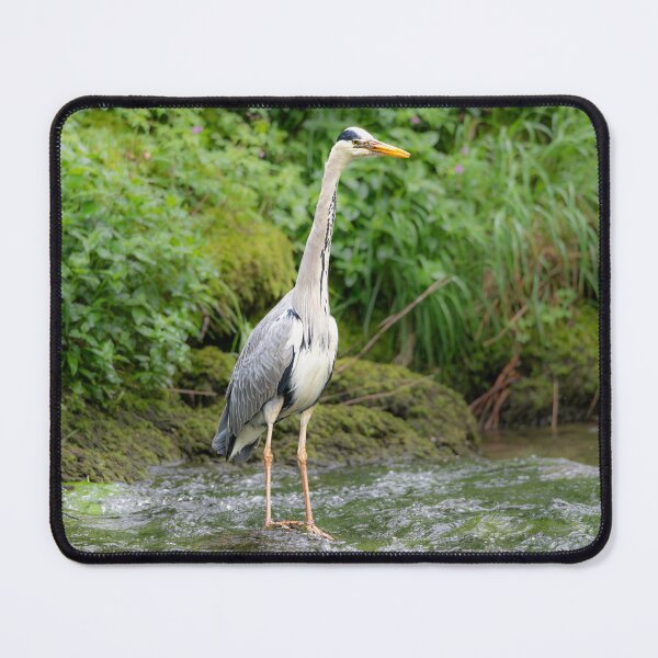 Item preview, Grey Heron (Ardea cinerea) designed and sold by Stephen Jarman.