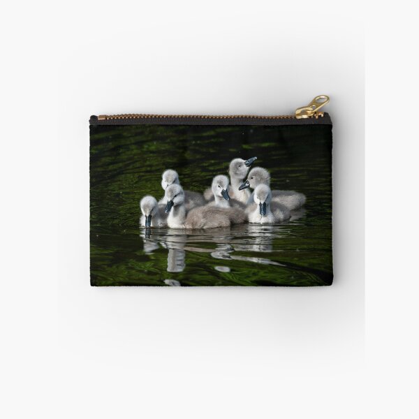 Item preview, Adorable mute swan cygnets huddled together designed and sold by Stephen Jarman.