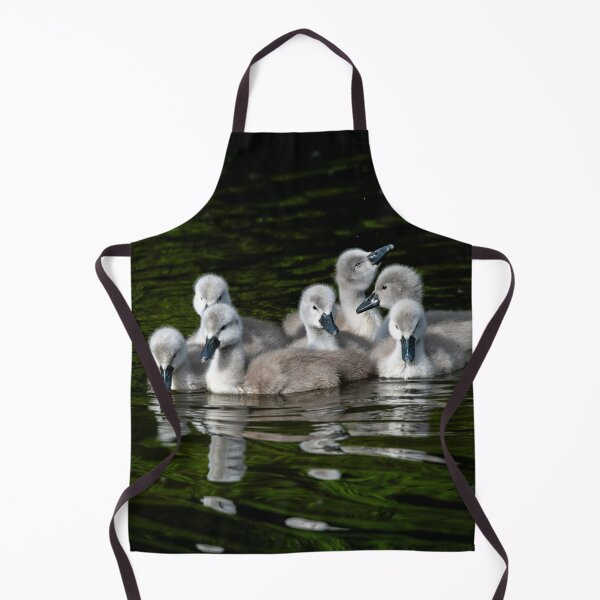 Item preview, Adorable mute swan cygnets huddled together designed and sold by Stephen Jarman.