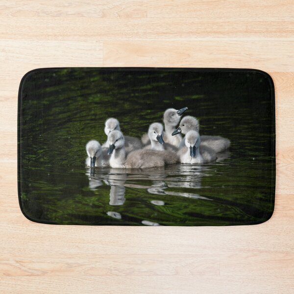 Item preview, Adorable mute swan cygnets huddled together designed and sold by Stephen Jarman.