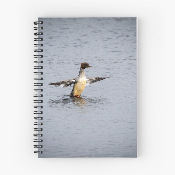 Item preview, Female Goosander designed and sold by Stephen Jarman.