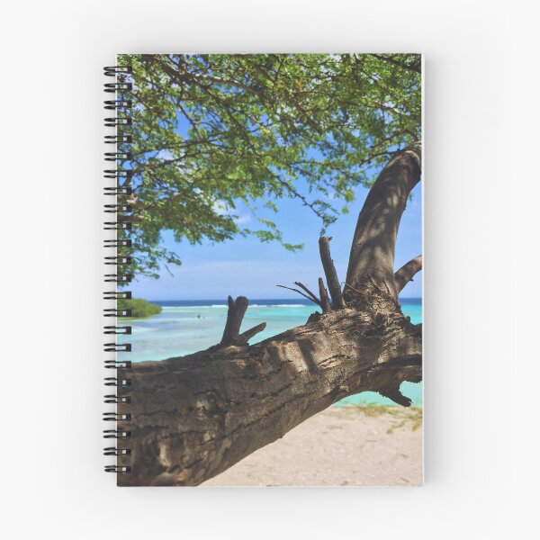 Item preview, Aruba Divi Tree designed and sold by It's Me, Hay! .