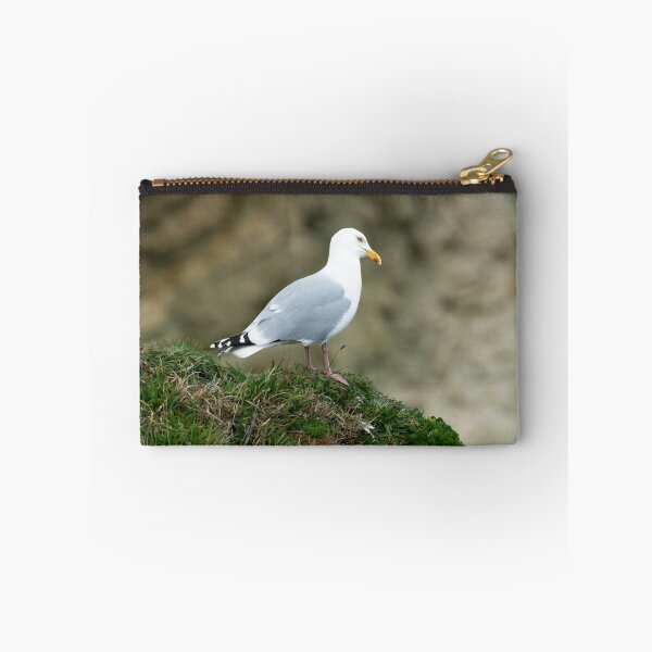 Item preview, Adult Herring gull (Larus argentatus) designed and sold by Stephen Jarman.