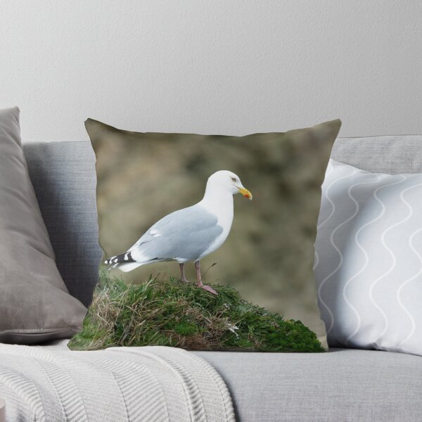 Item preview, Adult Herring gull (Larus argentatus) designed and sold by Stephen Jarman.