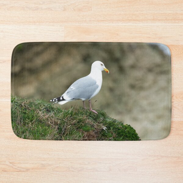 Item preview, Adult Herring gull (Larus argentatus) designed and sold by Stephen Jarman.